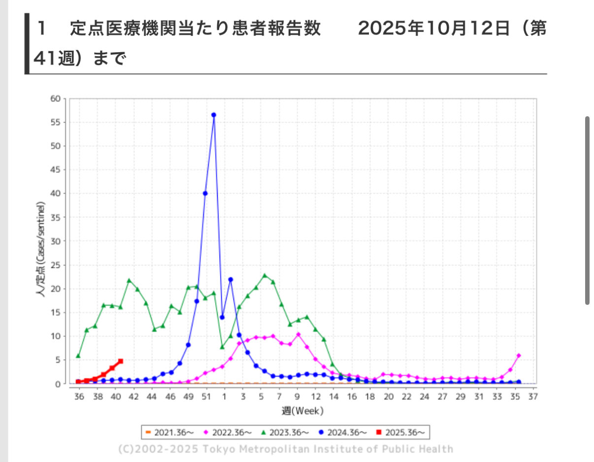 Miyuki Chikara (@harugasumi) / X