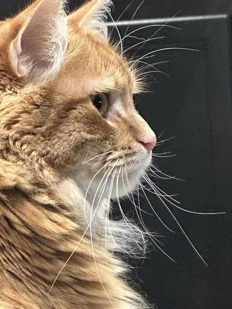 We all need to lock in the way Greggers does when he sees a bug