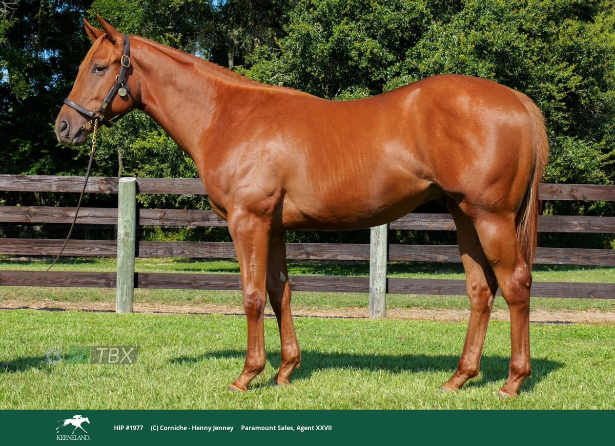 Zimmer Ridge Ranch (Mike Zimmer) tweet media