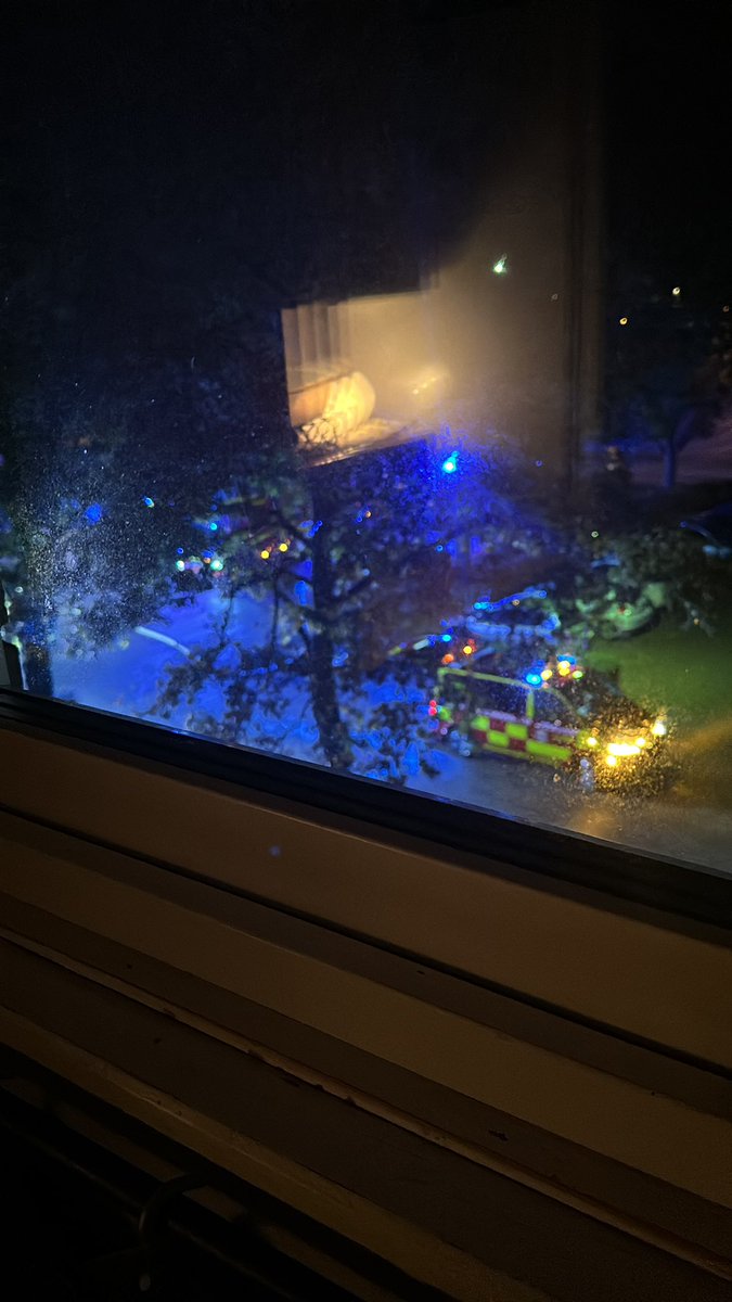 NexusX1_'s tweet image. Well safe to say they are outside.