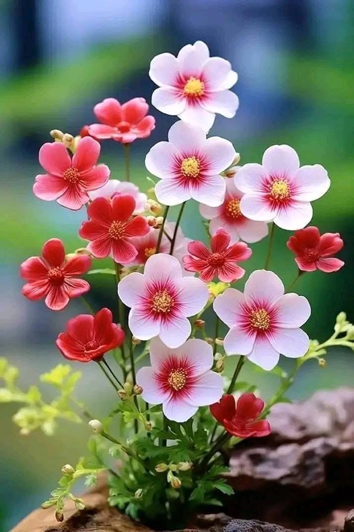 Joy (@joyfulng) on Twitter photo 