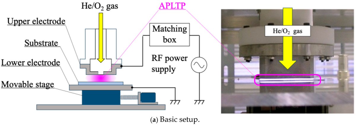 Biomim_MDPI's tweet image. Inspired by dragonfly- and cicada-like wings! 🦋
We developed a scalable plasma-based method to create antibacterial nanospikes on PMMA films—chemical-free, flexible, and ready for real-world applications.
👉 mdpi.com/2313-7673/10/9…
#antibacterial #polymer #nanostructure