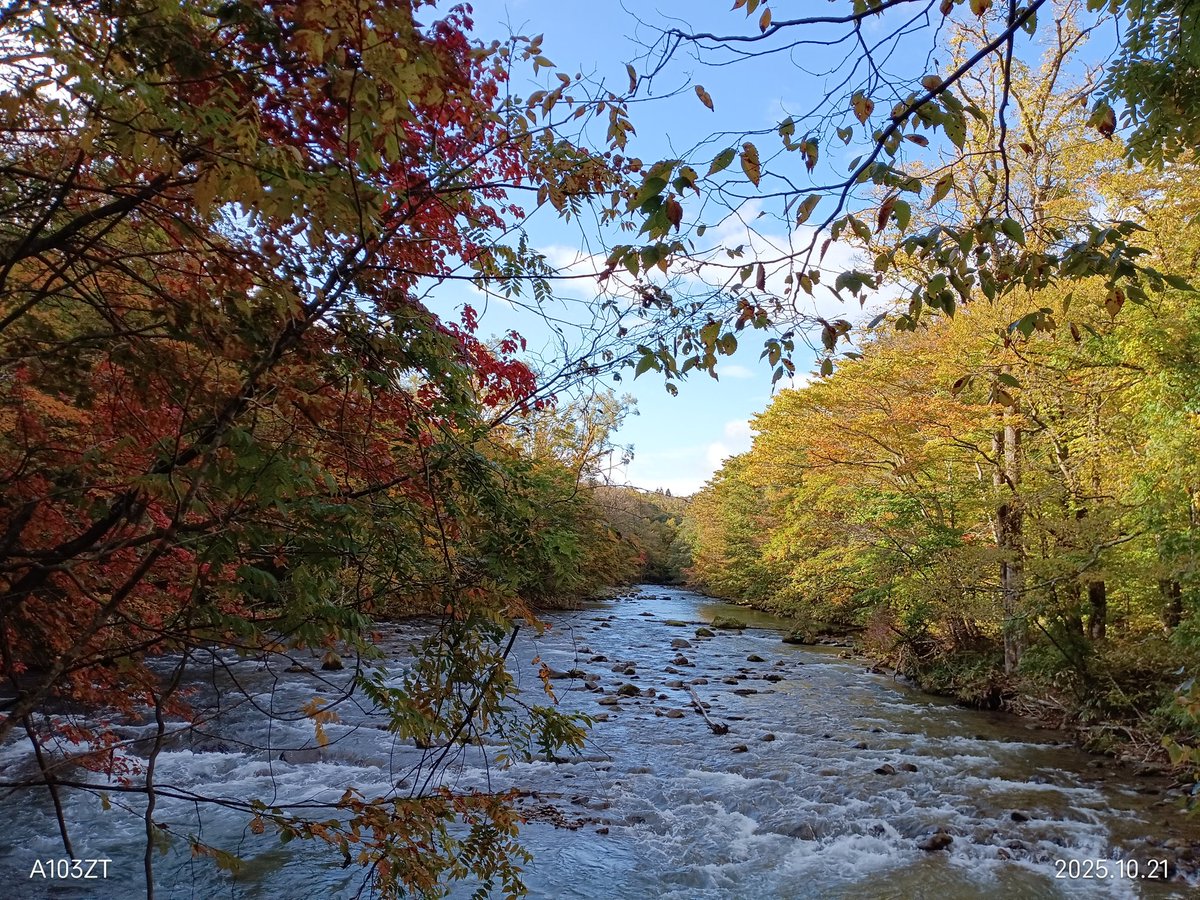 奥入瀬渓流館（Oirase Field Museum GATE） (@oirase_towada