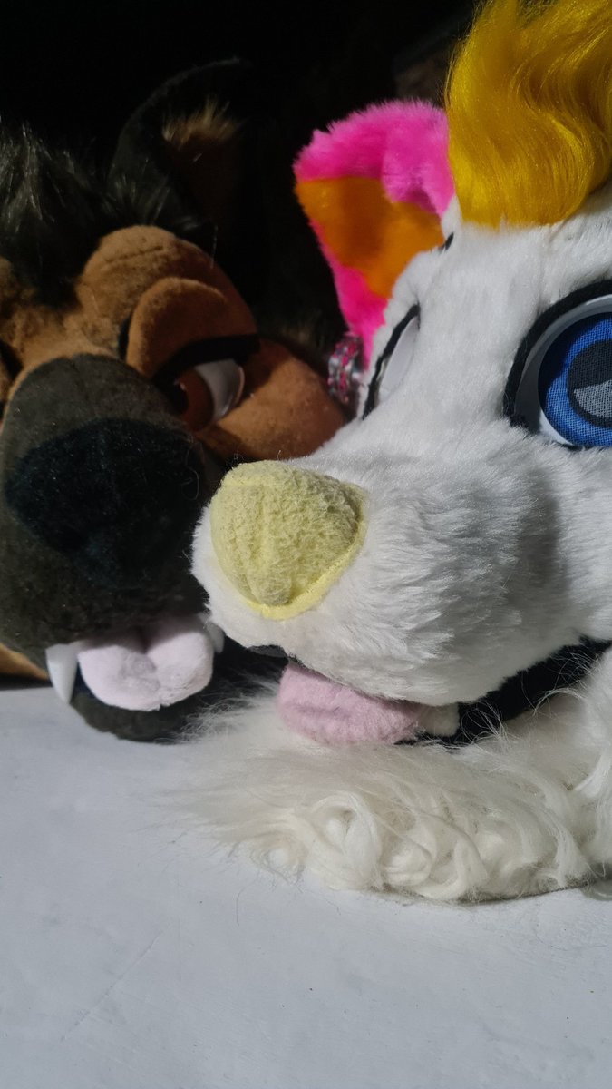 With the only mint, strawberry and vanilla flavored Nathan,  also he is the good one with the camera jeje (nathan_wolfdog on insta)