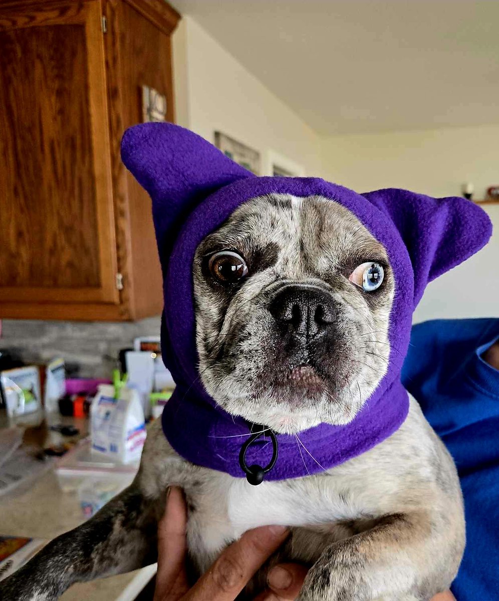 👑 The Queen rises again!
This Halloween, $ELLA takes over the night with spooky memes, thrilling games &amp; pure chaos 👻🔥
Join the madness: #Ellaween 👑
🗓 Oct 24–30 | Finale: Oct 31
<a href="/EllaQueenofSol/">EllaQueenofSol</a> #EllaSpooky #Solana

Darkness falls… the Queen awakens. 🌑👑
Get ready for