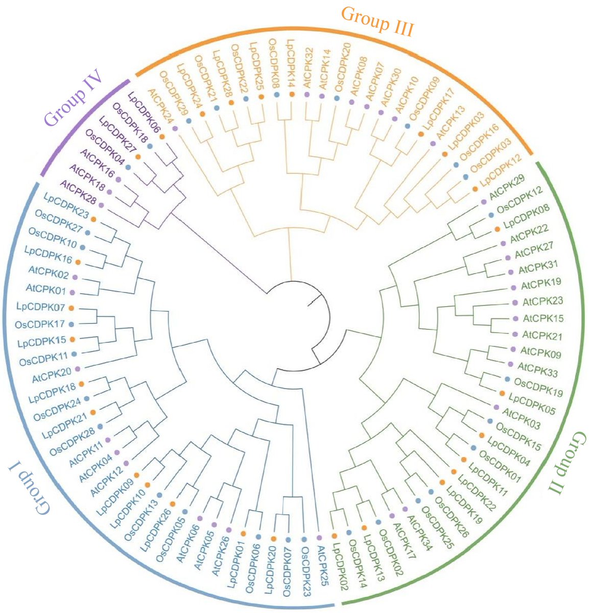 #GrassResearch #PerennialRyegrass #SaltTolerance #Gene
28 LpCDPKs identified; LpCDPK27 overexpression boosts Arabidopsis salt tolerance via regulating Na⁺/K⁺ balance and stress-related genes. 🧬
<a href="/MaximumAcademic/">Maximum Academic</a> <a href="/AbioticStress/">Abiotic stress in plants (Green Survivors)</a>
Details: maxapress.com/article/doi/10…
