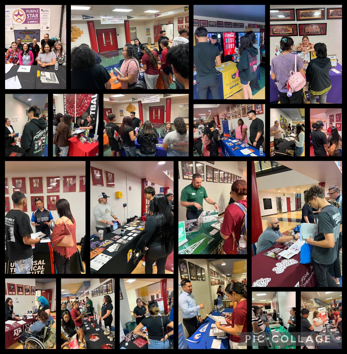 Patricia Pedroza tweet media