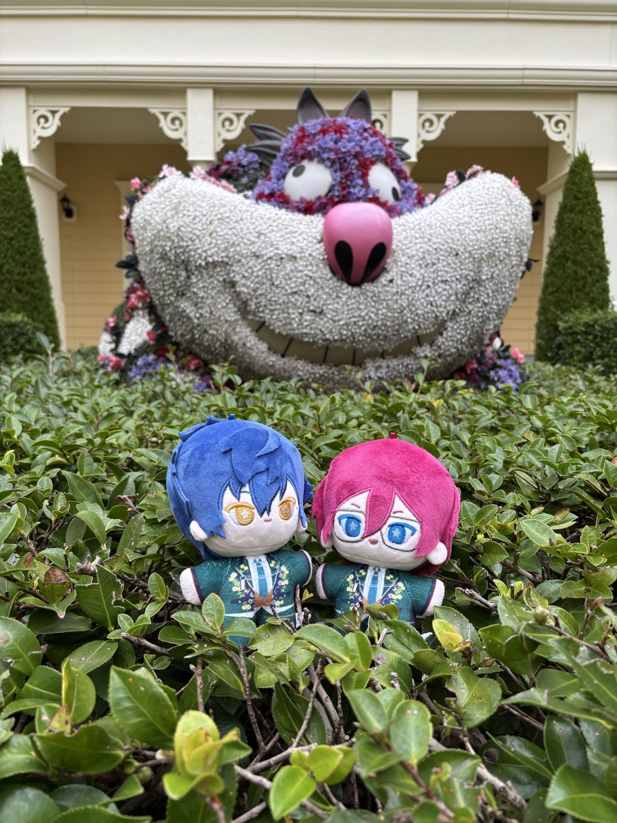 codezero_1205's tweet image. ♡の女王