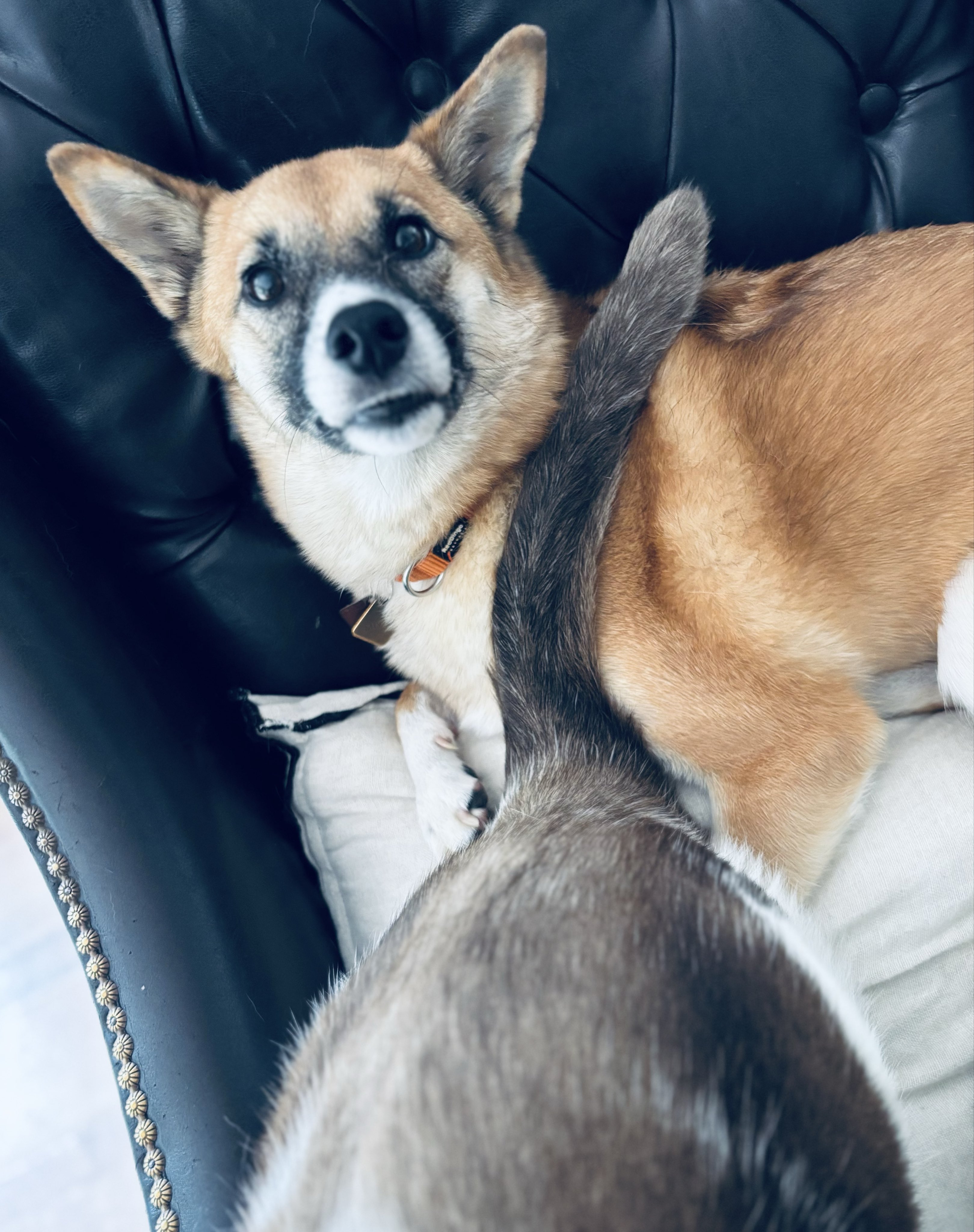 蛇蔵 (@nyorozo) / X