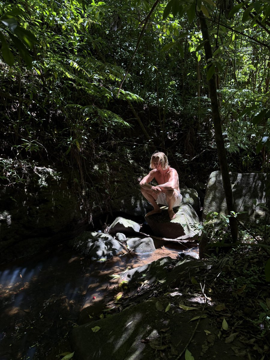 I prescribe you all a ponder maxxing session in nature