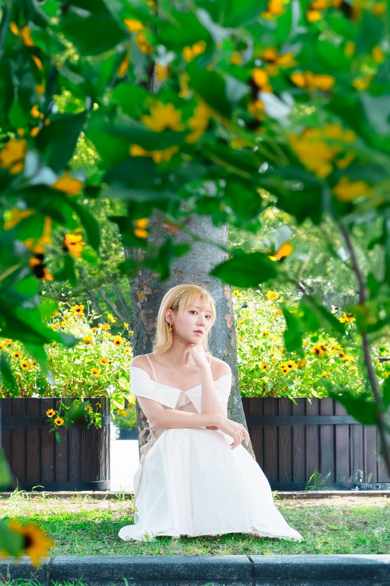 Isla8192's tweet photo. なんか跳ねたので去年の現実もついでにご覧下さい https://t.co/vxdqH6jF1W