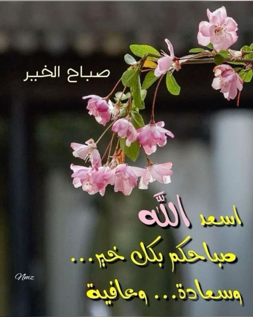 ✨صباح الخير✨