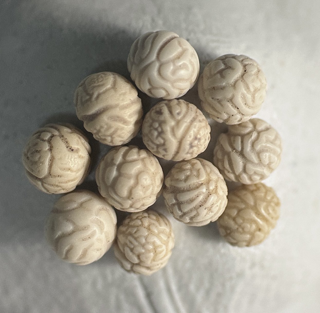 【新品】くられ科学本まとめ売り【未開封】 新品】くられ科学本まとめ売り【未開封】 新品】くられ科学本