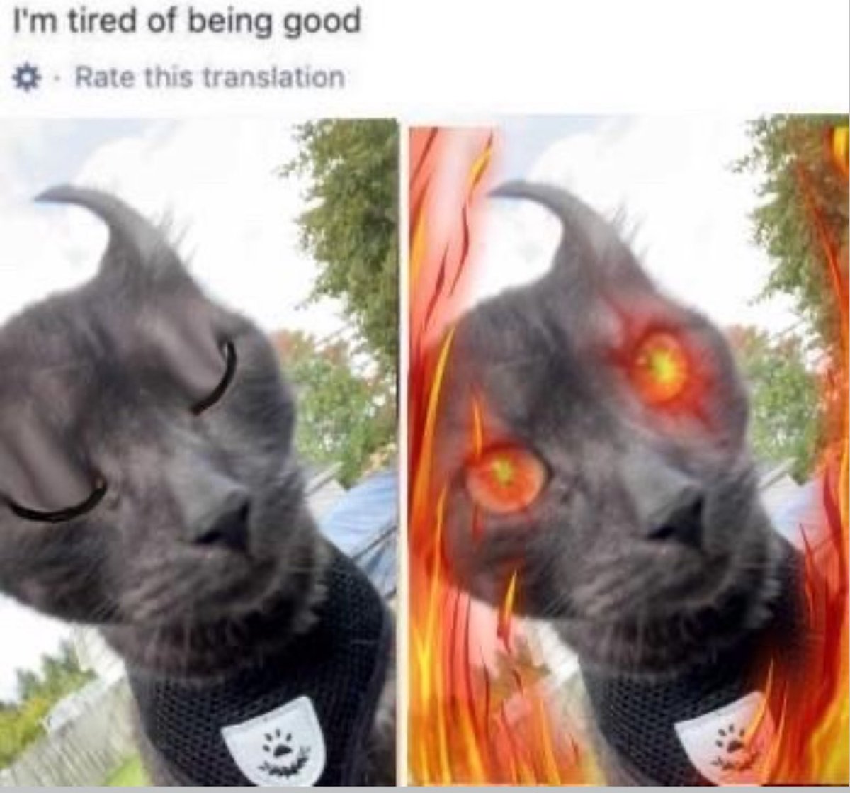 Meevin (on a break) (@meevin10) on Twitter photo 