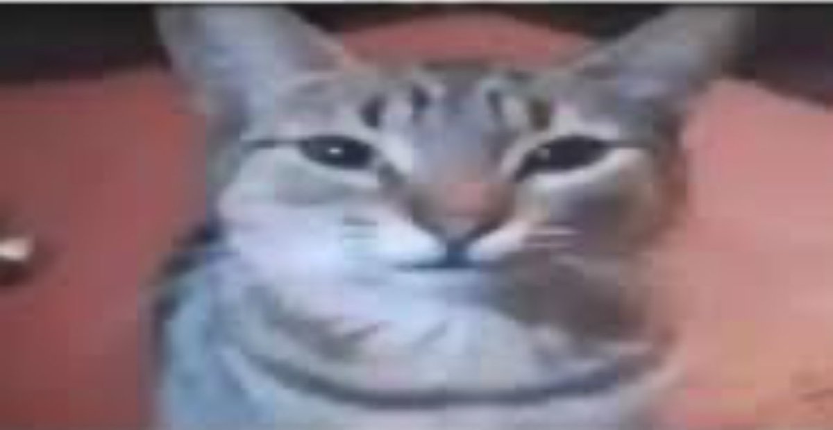 Wenos días weyes como les va? A ver si no amanecí muy tarde 
Alaberga como que ya es de noche no pues ni modo ya me voy ahí se Ven weyes