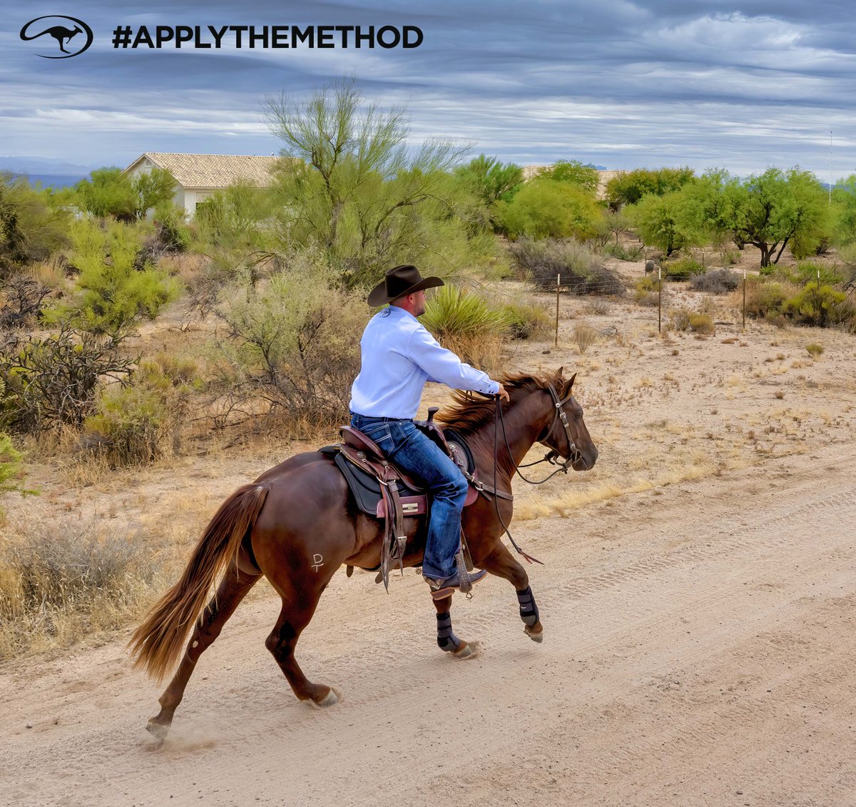 DownunderHorse's tweet image. Teaching your horse how to do a One Rein Stop is like having a big red emergency button on your saddle horn that you can push anytime you need to bring your horse to a stop. Learn more ➡️ ow.ly/7T1U50XagRr
#ApplyTheMethod
