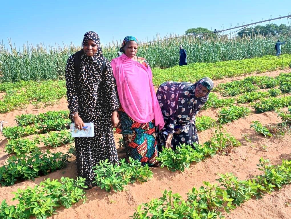 «#SoilValuesProgram nous donne l'opportunité de renforcer la collaboration entre les producteurs semenciers pour mettre à la disposition des agriculteurs des semences de qualité.» SALIFOU AICHATOU, S.G. de l’Association des Producteurs Privés de Semences au Niger #APPSN