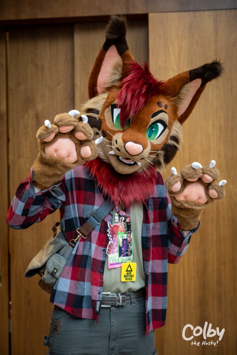 My fursuit buying experience with <a href="/AlphaLyncis/">🌜Alpha Lyncis Fursuits🌛</a> 

My first one was $900 as I was her second client ever

Great quality for what I paid for it

5 month wait

Became good friends with her

Started dating

Married 💖

Got a 2.0 because she loves me

She keeps improving tremendously