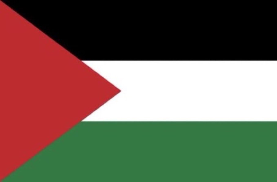 IRELAND has donated an additional $7 MILLION in humanitarian aid to GAZA, bringing Ireland's total contribution since 2023 to over $115 MILLION 👏🏻