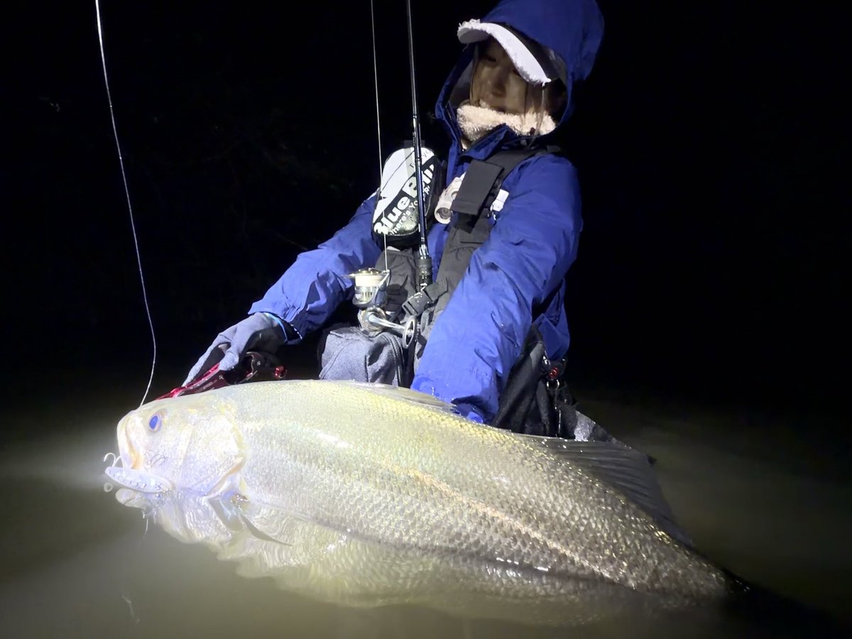 まっちんくん2 (@2lHagkUV7YXJL6Y) / Posts / X