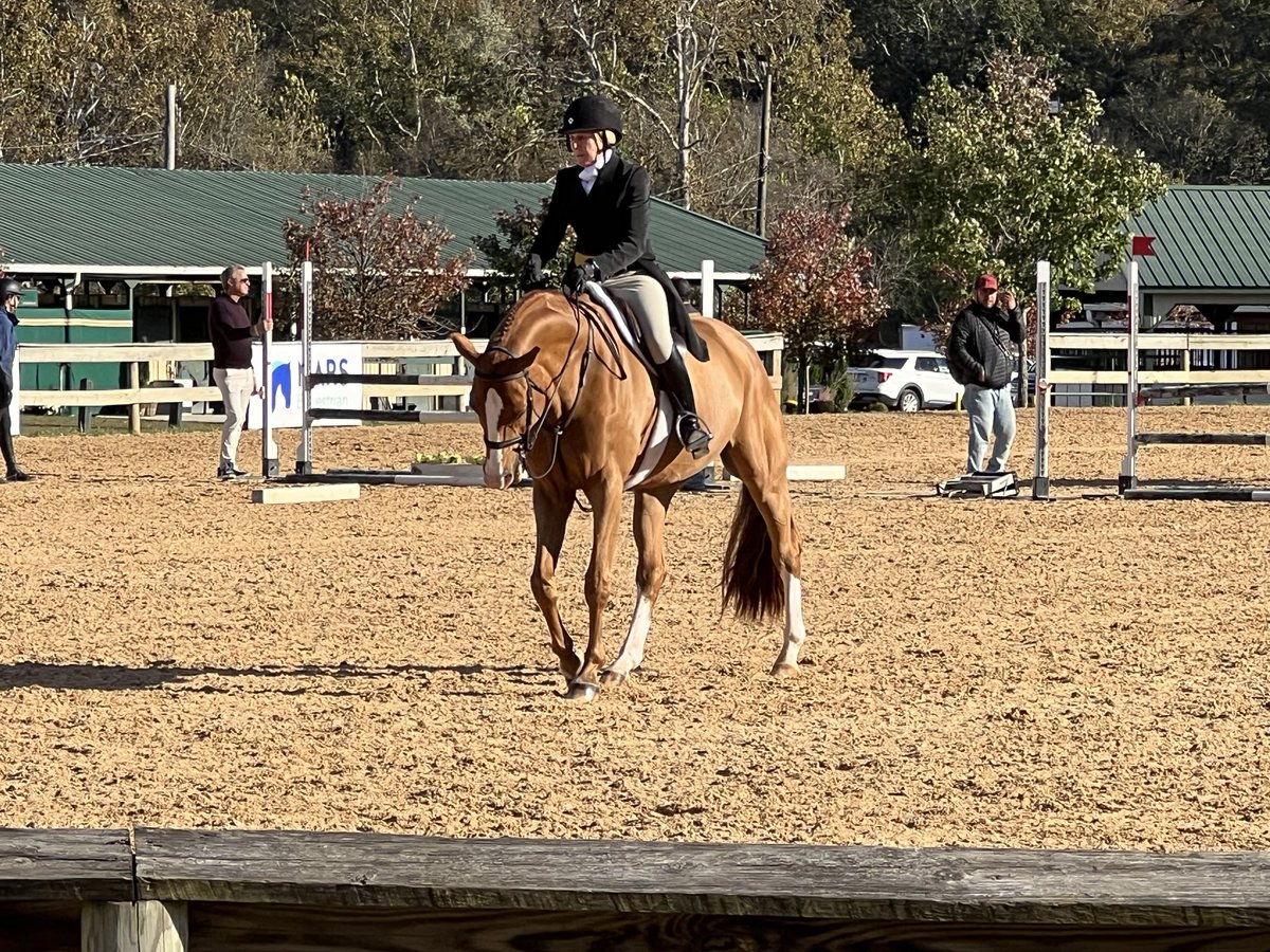 TimReidReporter's tweet image. WASHINGTON INTERNATIONAL HORSE SHOW IN UPPER MARLBORO, MD-Officials are expecting a 9.1 million dollar economic impact The 67th annual event is being held in Prince George’s County for the 4th year in a row from October 20, through October 26. Local Businesses are excited