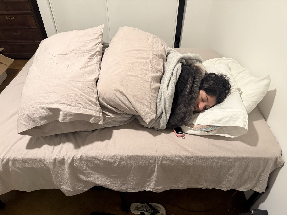 mudled's tweet image. 