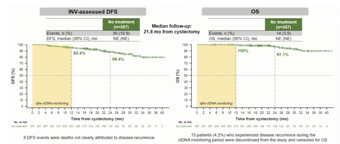 urotoday's tweet image. #IMvigor011: A phase 3 trial of ctDNA-guided adjuvant atezolizumab vs pbo in #MIBC. Presentation by @tompowles1 @QMBCI. #ESMO25 written coverage by @zklaassen_md @GACancerCenter &amp;gt; bit.ly/477HEoc @myESMO