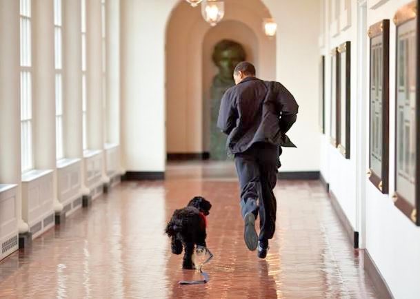 Destruction of the White House East Wing began today. Here it is in better times with better residents.