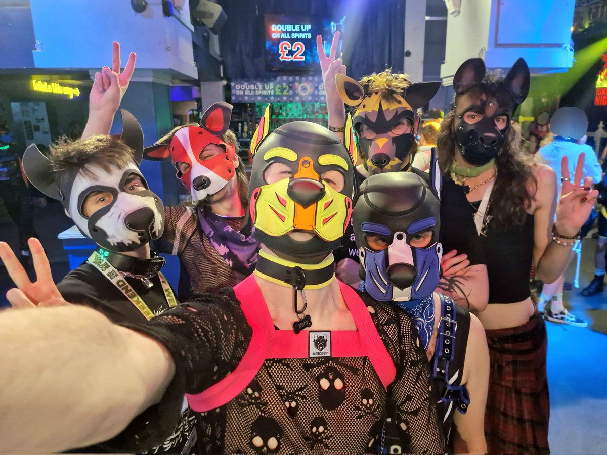 Nero ✨🐶 tweet media