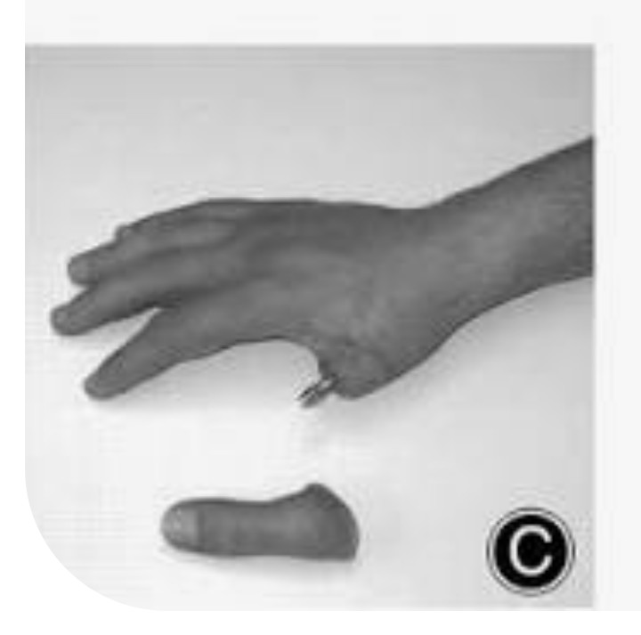 Dusty Bumps (@dusty_bumps) on Twitter photo 