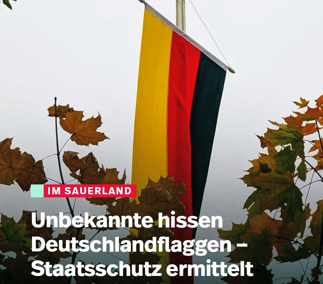 Ihr händ richtig en Knall i Dütschland oder? 🤣