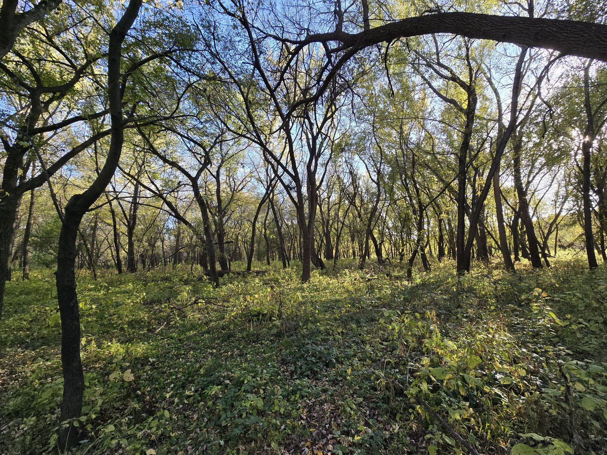 Justin Meyers (@mapmakinmeyers) on Twitter photo 