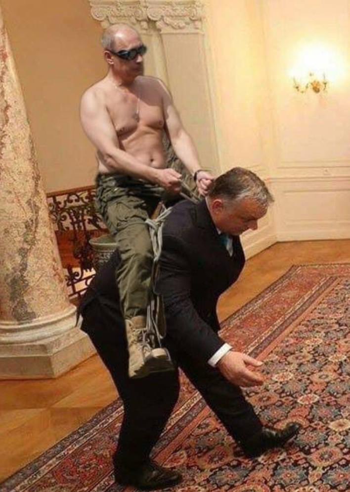 <a href="/FM_Szijjarto/">Péter Szijjártó</a> hai sictir