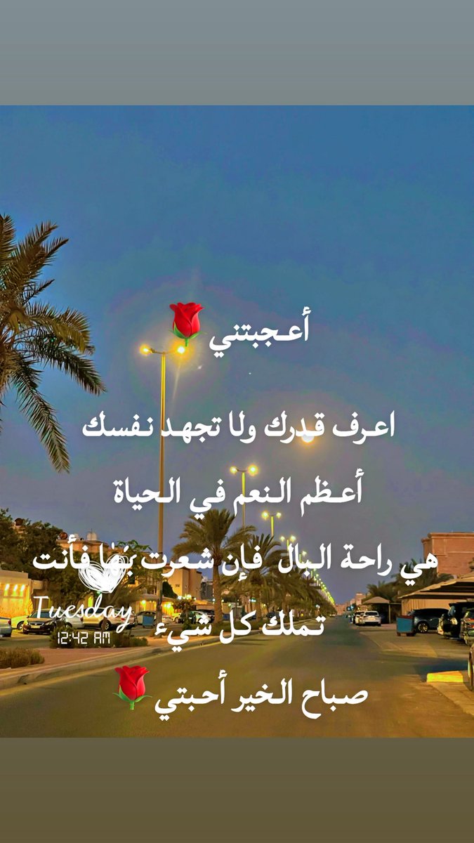 #صباح_الخير 🌹