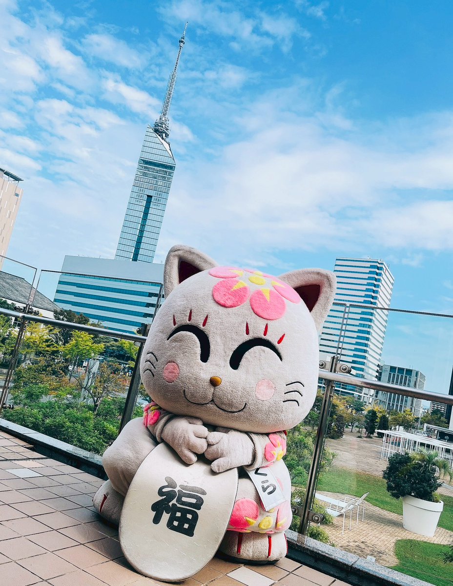 追い出し猫サクラ🍰(゜∇^🌸)公式 (@masa5539xyz) / Posts / X