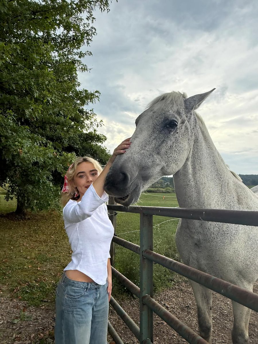 loonglivevil's tweet image. colheita do dia foi fraca, mas oiem meus bicho e eu ❗