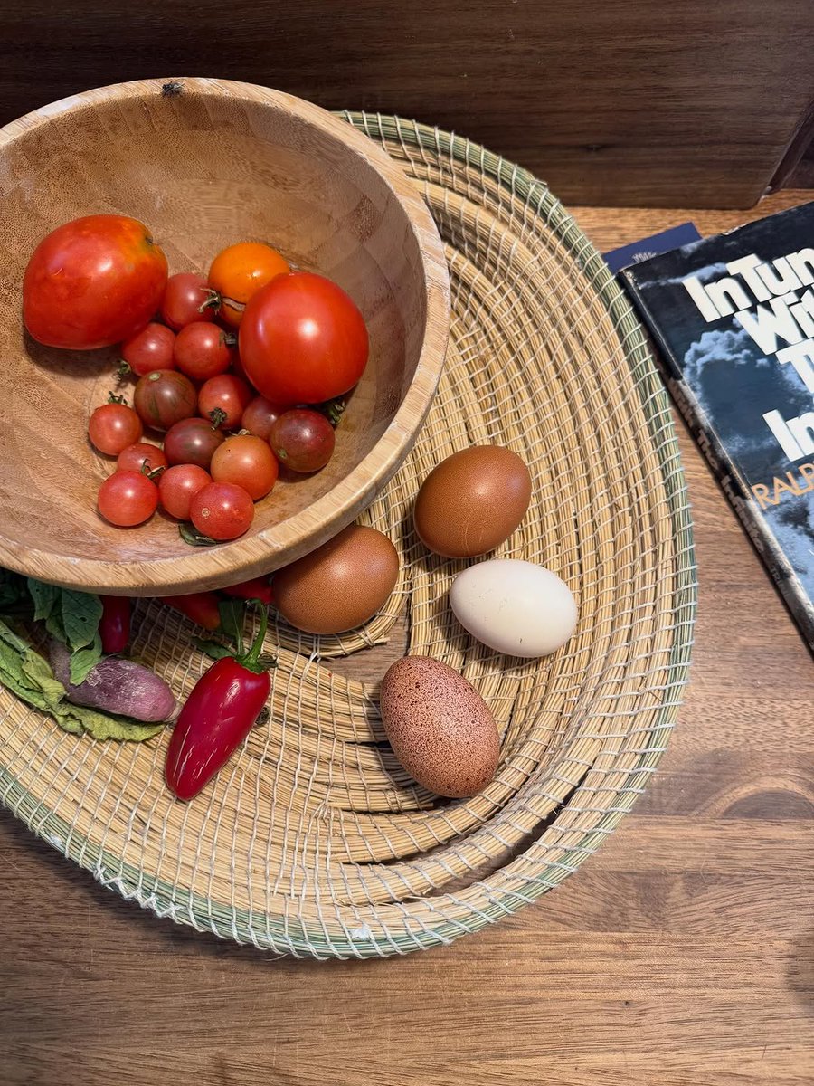 loonglivevil's tweet image. colheita do dia foi fraca, mas oiem meus bicho e eu ❗