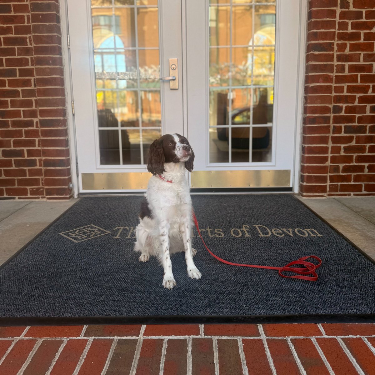CourtsOfDevon's tweet photo. Happy Monday! 🐾 Don’t forget — we’re a pet-friendly community! Stop by the office for some tasty biscuits for your furry friends. #Summerthedog #ThecourtsofDevon #PetFriendly #Bozzuto #Bozzutoliving https://t.co/c2IivJLgVe