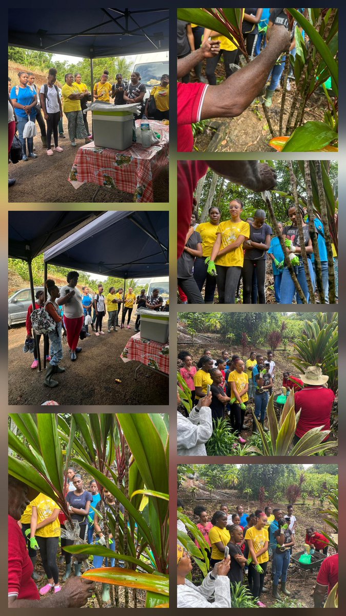 Les vacances apprenantes du <a href="/LPCateayee/">LP Jeanne CATAYEE</a> sont des périodes actives. Avec leur professeur,  Mme Théodose, les élèves du CAP Fleurs ont passé une journée à la Roseraie Burnet. Au programme : Les différentes multiplications , les engrais, l'arrosage ...on ne se lasse pas d'apprendre