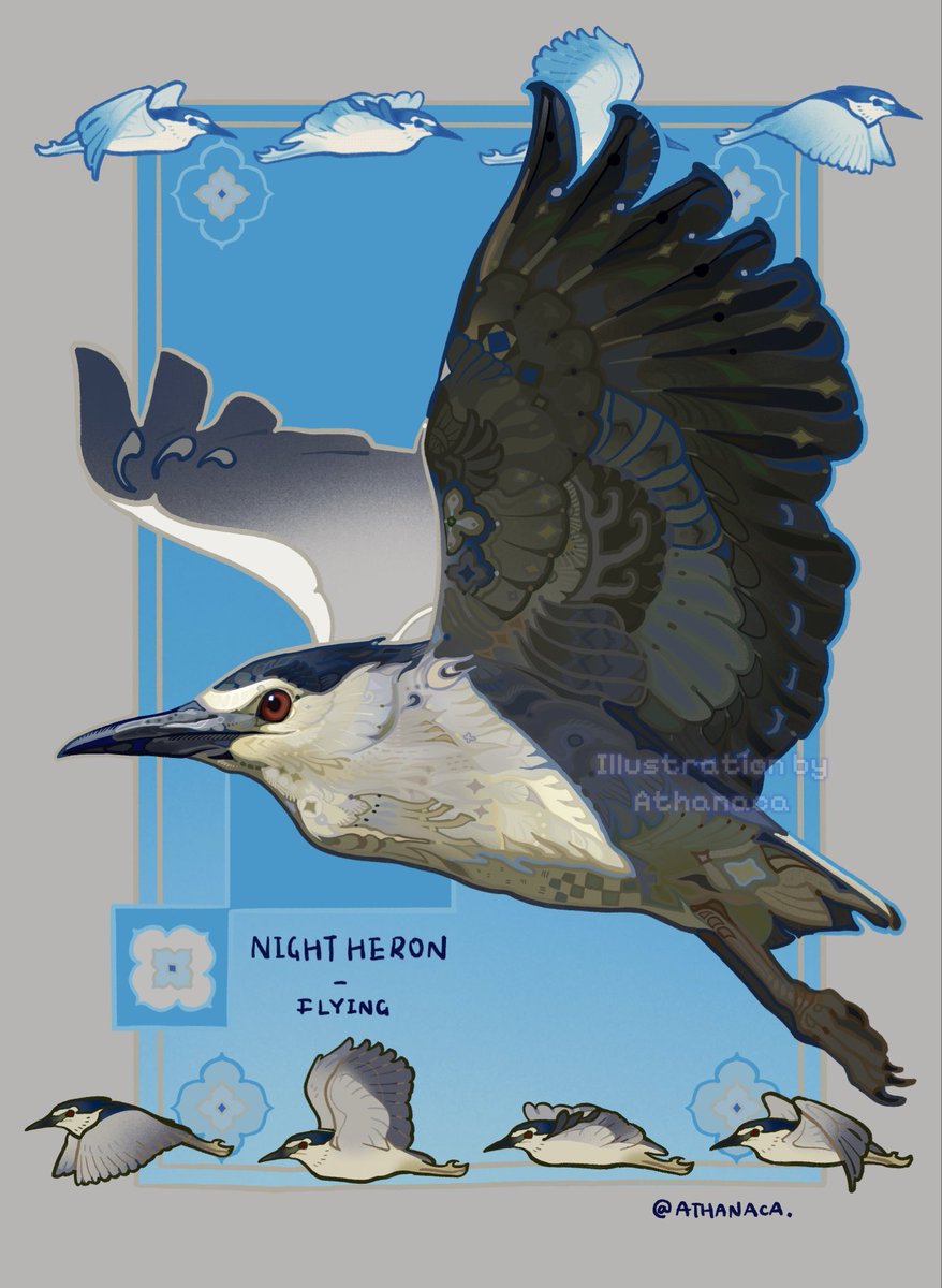 Inspiration - sky &amp; heron☁️

#bird #birdart #illustration #digitalart #art #animalart #decorative #originalart #birdwatching