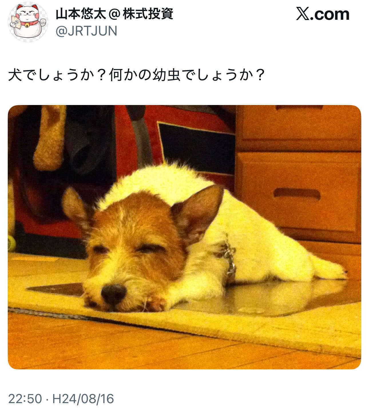 𐬯𐬀𐬠𐬀𐬔𐬎𐬠𐬛 𐬰𐬀𐬥𐬌𐬐𐬀🦋 (@masayasan201911) / X