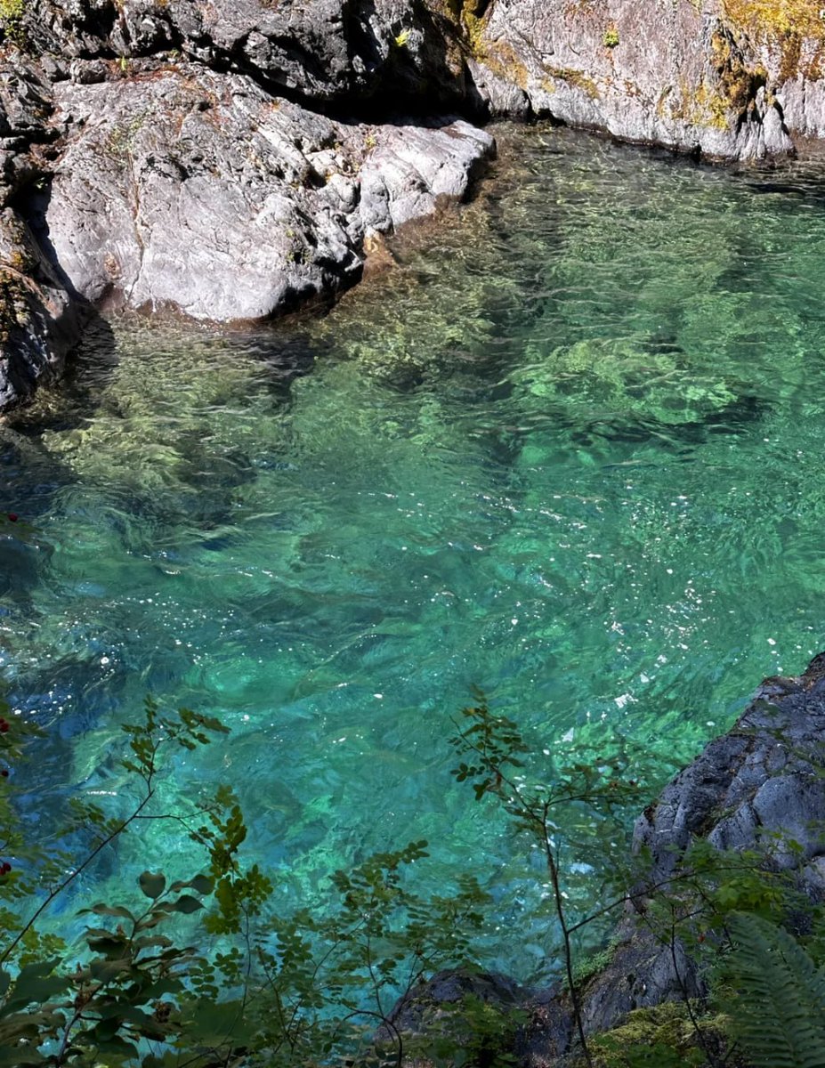 mikey10101011's tweet image. “Lost in nature’s masterpiece — where emerald waters and whispering forests meet.  Every step here feels like a breath of peace.
#NatureEscape #Wanderlust #WaterfallVibes #IntoTheWild