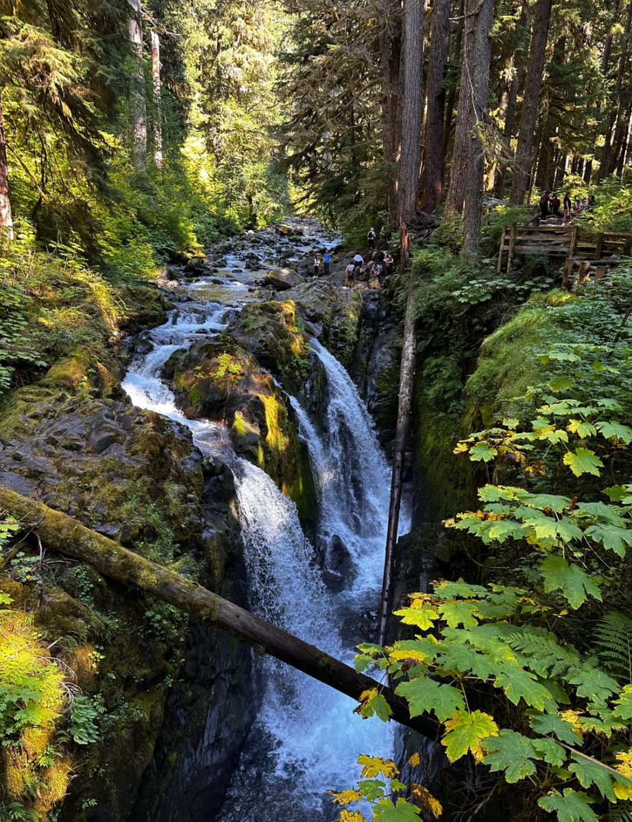 mikey10101011's tweet image. “Lost in nature’s masterpiece — where emerald waters and whispering forests meet.  Every step here feels like a breath of peace.
#NatureEscape #Wanderlust #WaterfallVibes #IntoTheWild