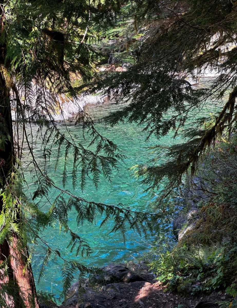 mikey10101011's tweet image. “Lost in nature’s masterpiece — where emerald waters and whispering forests meet.  Every step here feels like a breath of peace.
#NatureEscape #Wanderlust #WaterfallVibes #IntoTheWild
