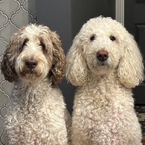 We don't always judge you all...
Macie: yes we do🤭