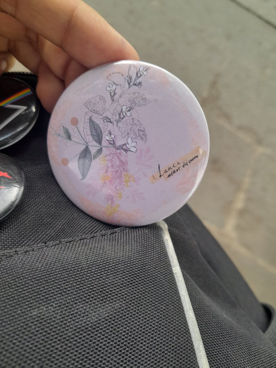 tengo el mejor pin de la historia finalmente