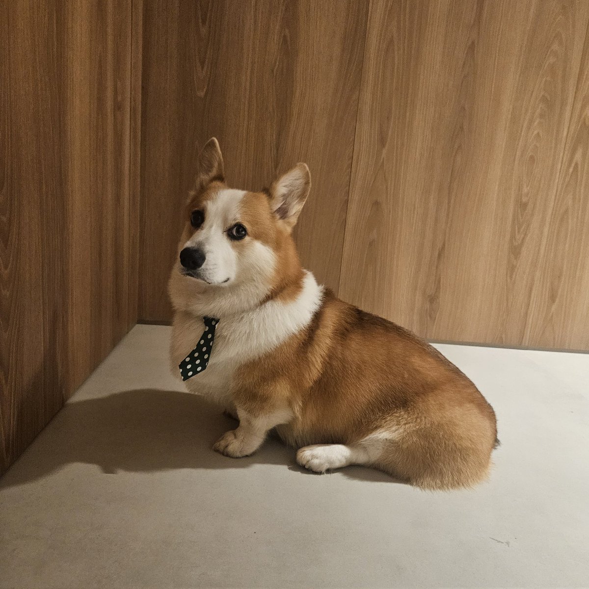 mandy is doing practical magic 🪻 tweet media