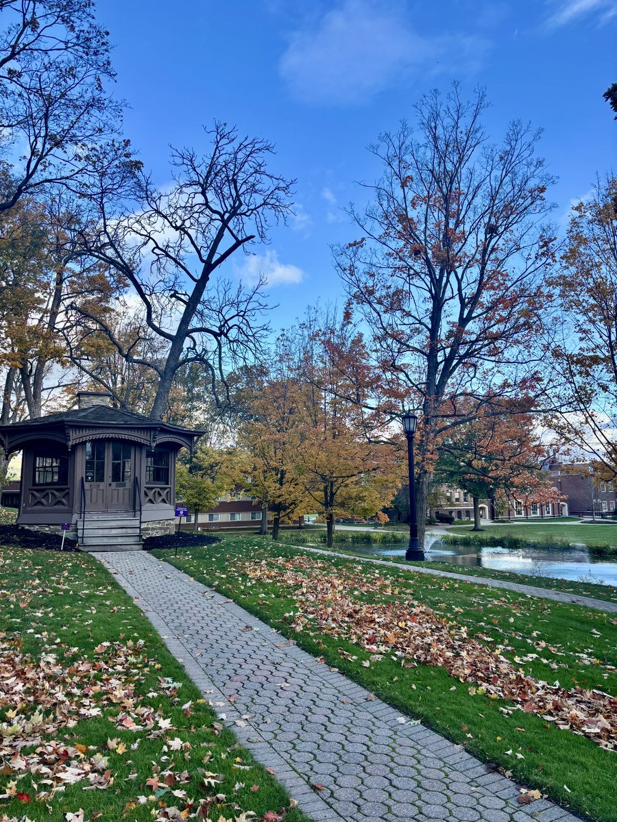 Denis Tobin tweet media