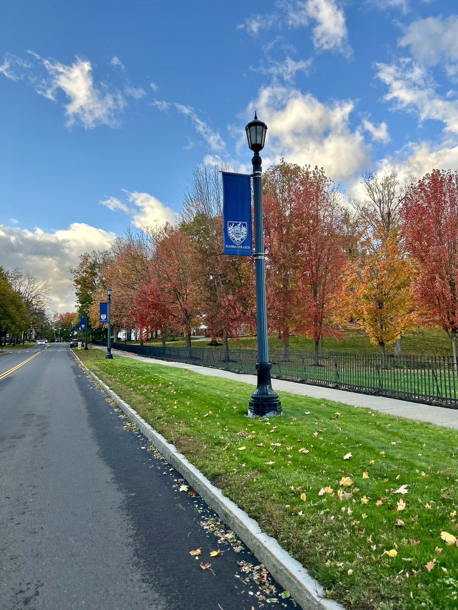 Denis Tobin tweet media