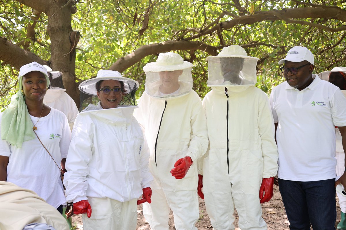 IloSenegal's tweet image. 🌿#EmploisVertsDelta | Jour 1
Mission de terrain de @ilo à #Toubacouta pour des échanges avec les autorités locales et les #CLS. 
Visite des sites d’exploitation de miel, d’huitres et mollusques ; rencontres avec bénéficiaires engagés pour une #économieverte inclusive.
@BMZ_Bund